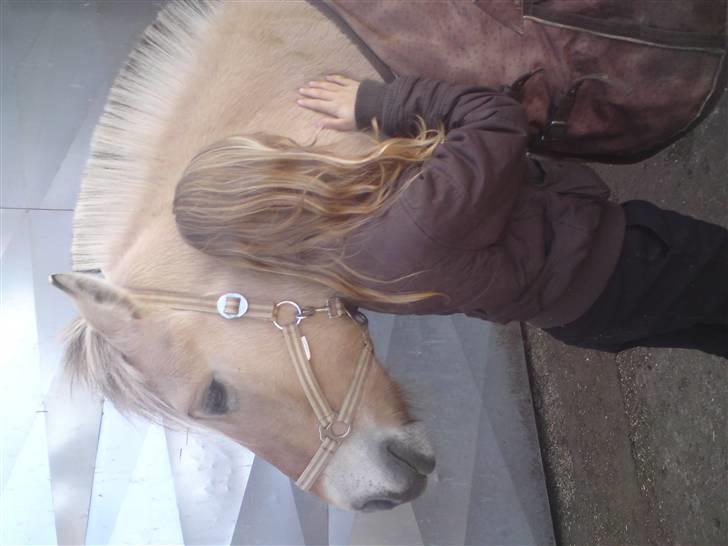 Elevhestene på pårup holm rideklub - Nathasja og Basse billede 20
