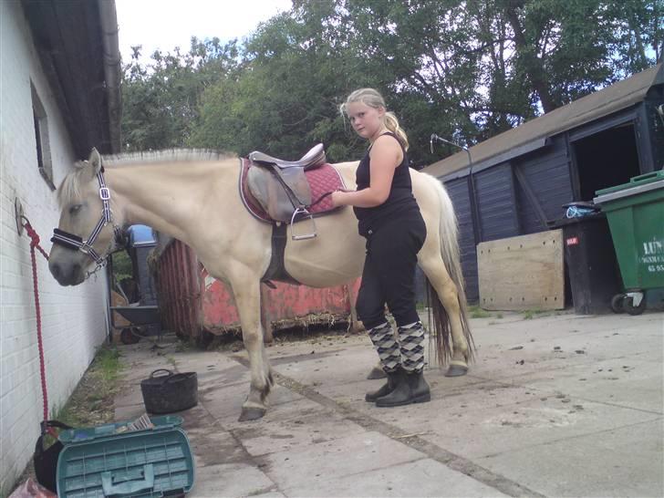 Elevhestene på pårup holm rideklub - Mig der sadler Mona Op:-D billede 27