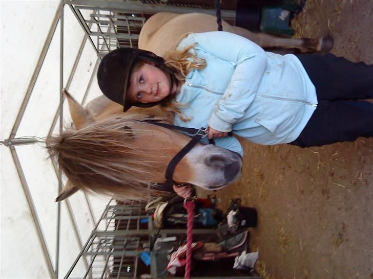 Elevhestene på pårup holm rideklub - Mig og Basse billede 28