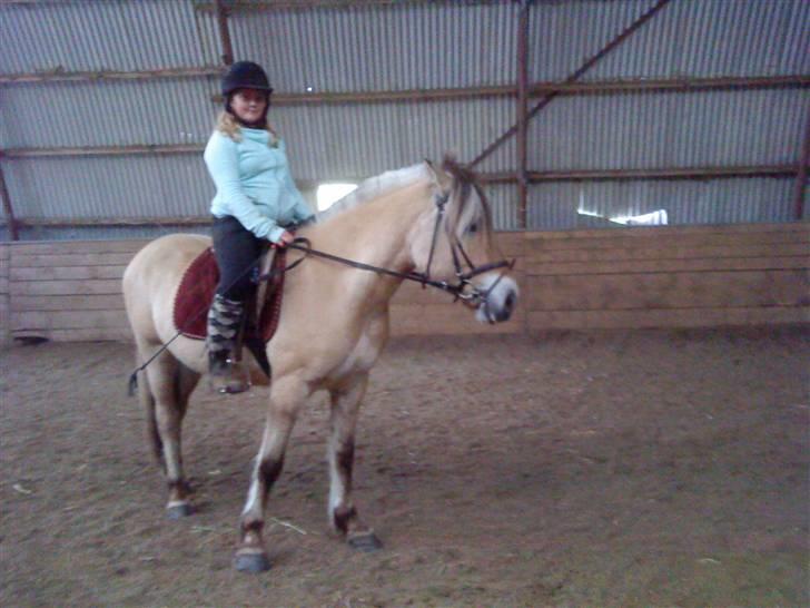 Elevhestene på pårup holm rideklub - Basse og mig der er ude at ride billede 29