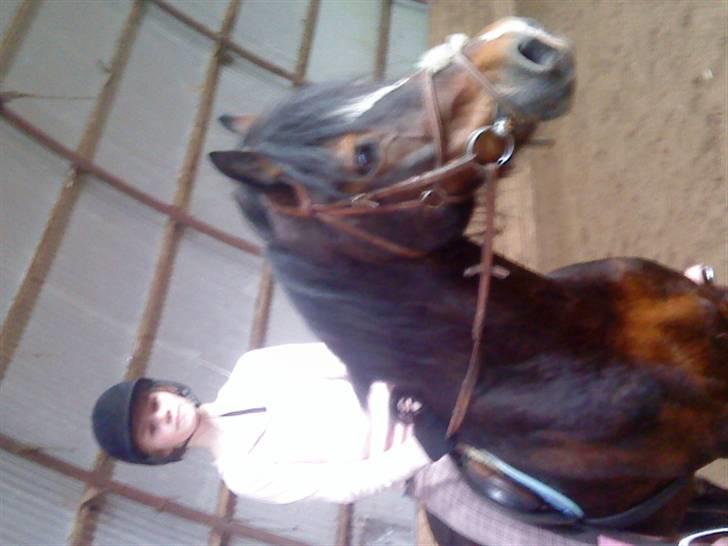 Elevhestene på pårup holm rideklub - Mia Og Toreth billede 30