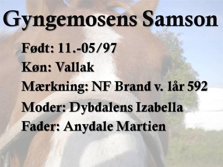 Tegninger, Print Screen osv. xD - Samsons Skilt xD billede 13