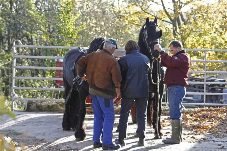 Herros og Wander som tospand :oD - Der spændes for... billede 1