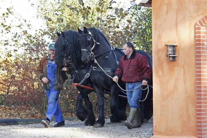 Herros og Wander som tospand :oD - Stille opstart med "hjælpepædagog"... billede 2
