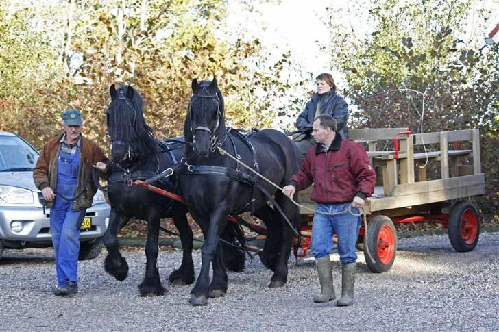 Herros og Wander som tospand :oD billede 4