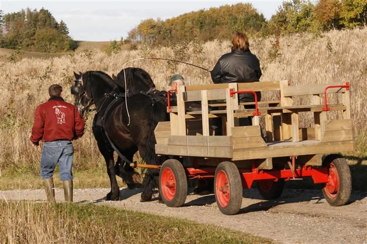 Herros og Wander som tospand :oD - Ned ad indkørslen billede 5