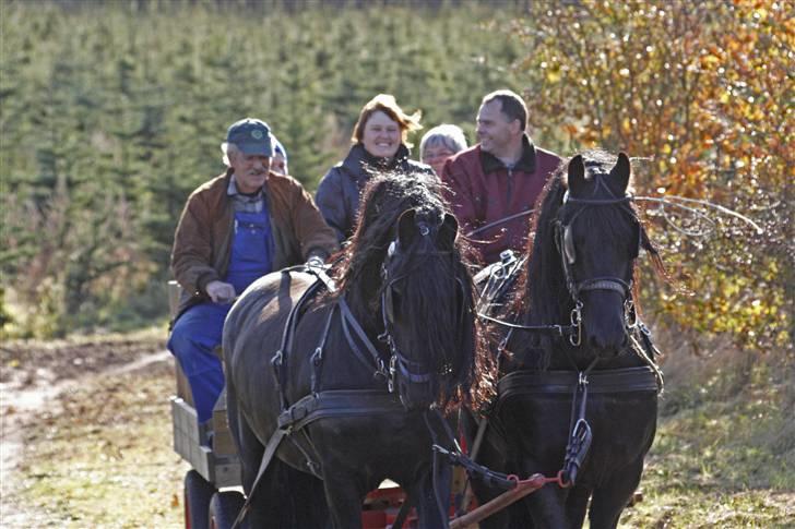 Herros og Wander som tospand :oD billede 12
