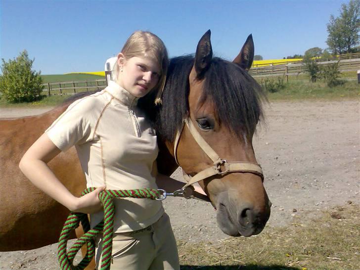 Heste jeg rider på eller har gjordt :)  - Mig og cindy var lige ude og hygge lidt billede 7