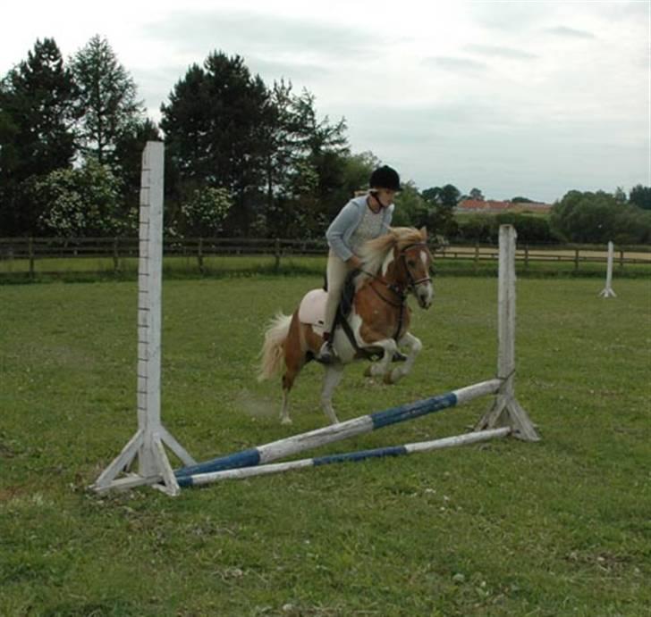 Heste jeg rider på eller har gjordt :)  - Spriger lige til på wendy hende rider jeg ikke på mer billede 9