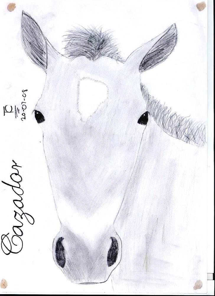 >> Tegninger << - Lille fjordbolle :D billede 2