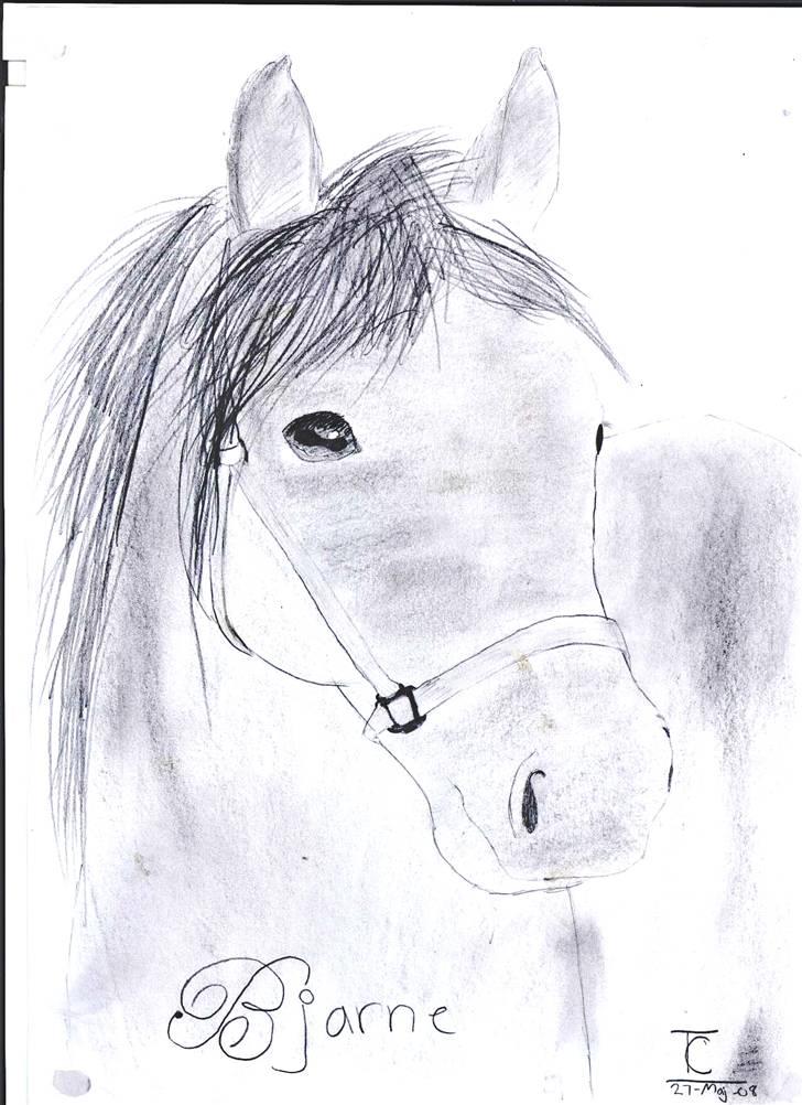 >> Tegninger << - Friser ;D billede 3