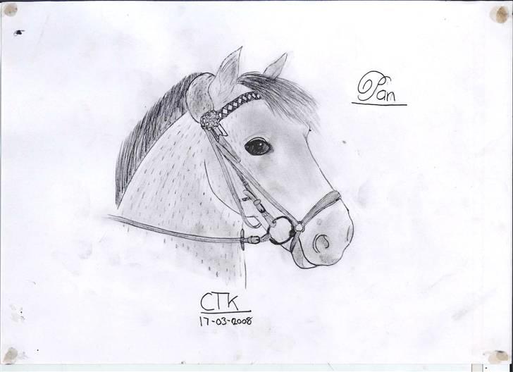 >> Tegninger << - ? billede 12