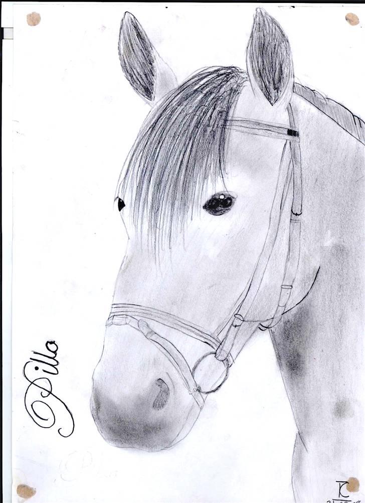 >> Tegninger << - :D billede 14