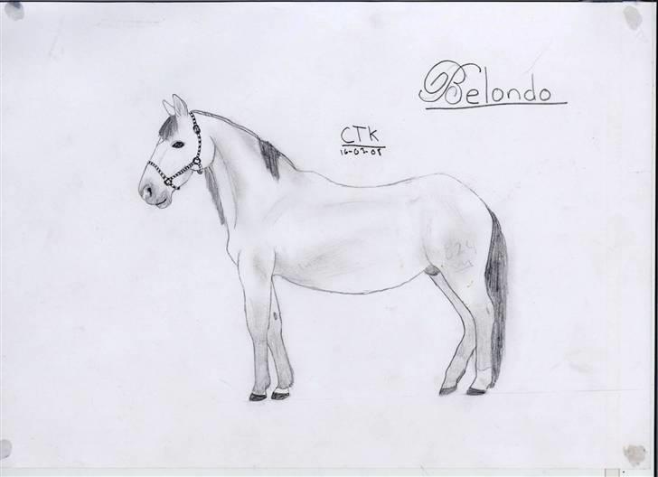 >> Tegninger << - Belonde :3 billede 16