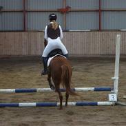 Til Cindy og Line (:<3 