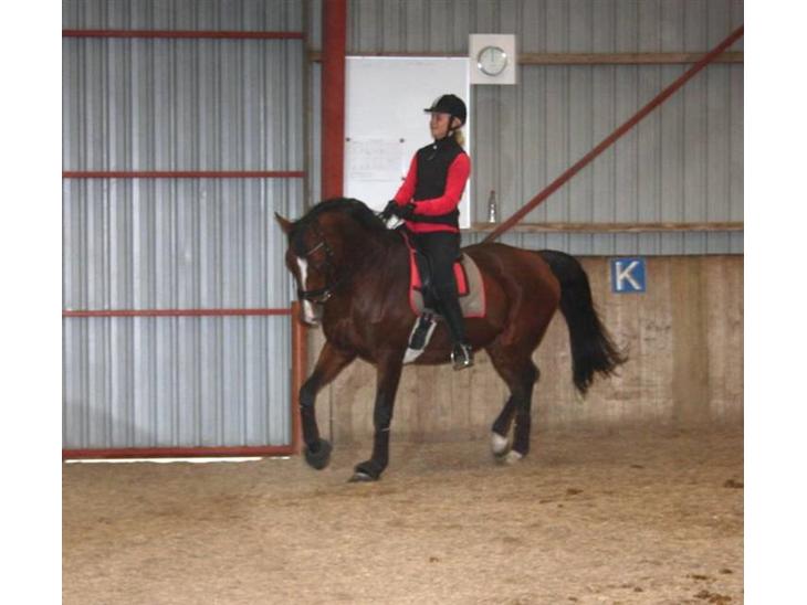 {{currentPhoto.altText}} billede {{currentPhoto.number}}