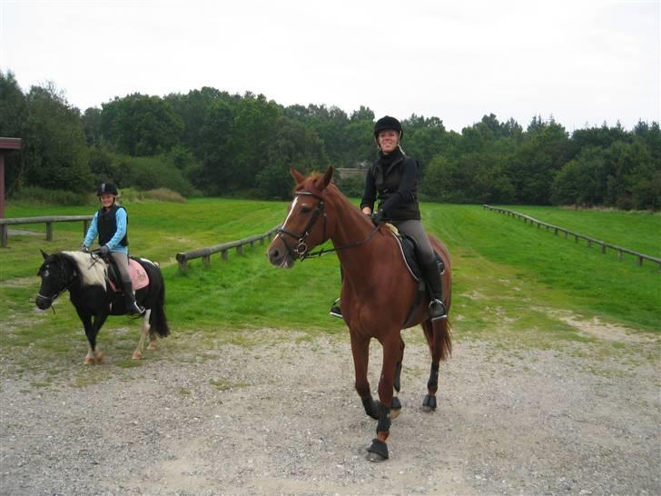 Tur til Hvidbjerg strand (Vejle) - Lige efter en lille galop :) billede 1