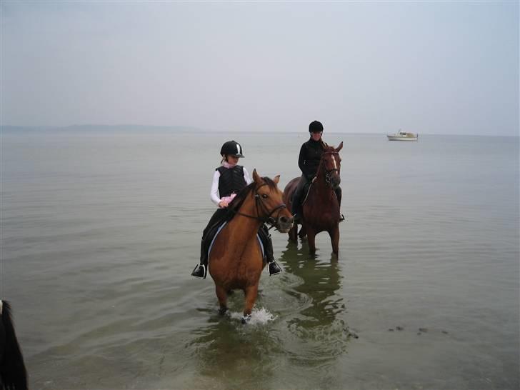 Tur til Hvidbjerg strand (Vejle) - Jeg & Talea + Katrine på Bell :D billede 2