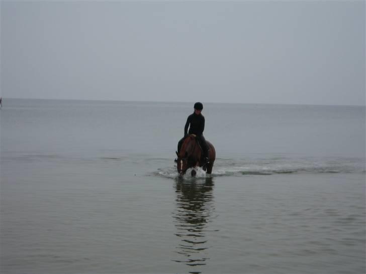 Tur til Hvidbjerg strand (Vejle) - Vi skal lige smage lidt på vandet ;D billede 5
