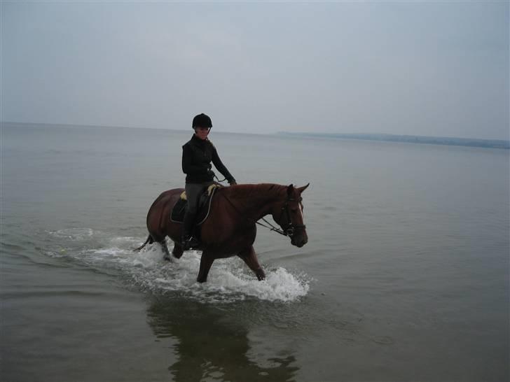 Tur til Hvidbjerg strand (Vejle) - Spændende ! billede 6
