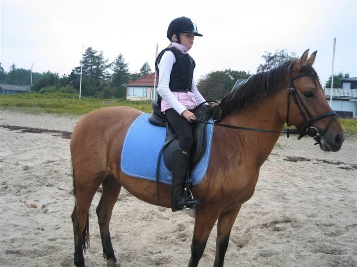 Tur til Hvidbjerg strand (Vejle) - Katrine & Bell :) billede 7