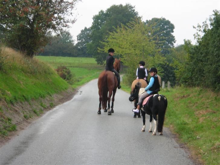 Tur til Hvidbjerg strand (Vejle) - Så går turen hjem ad .. billede 8