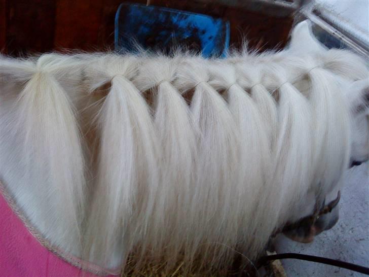 Super sej pony/heste frisure :) billede 1