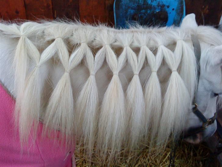 Super sej pony/heste frisure :) billede 2
