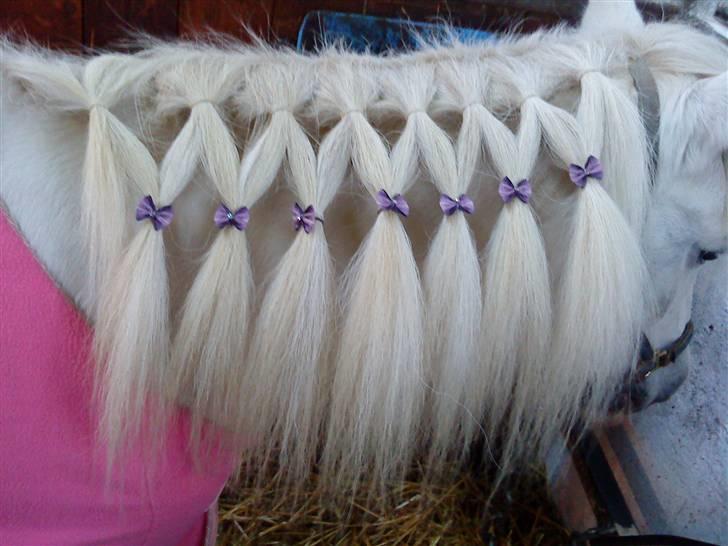 Super sej pony/heste frisure :) billede 3