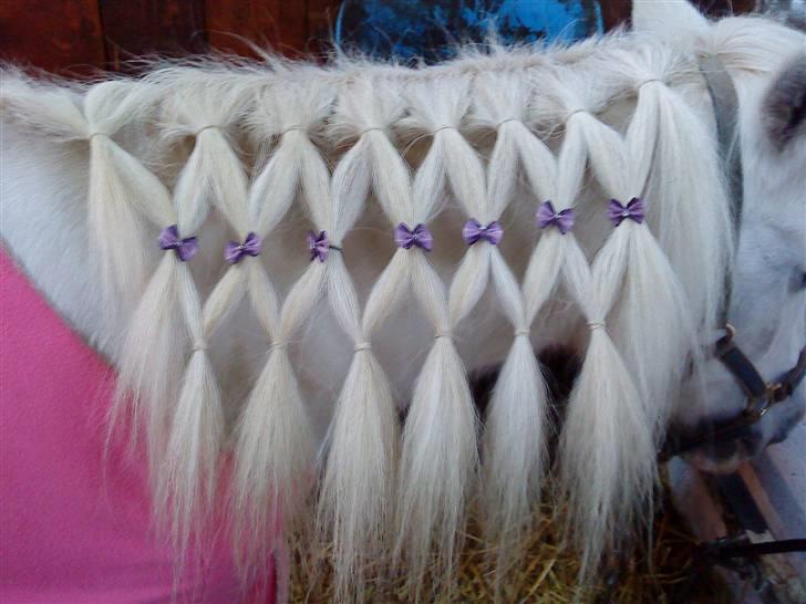 Super sej pony/heste frisure :) billede 4