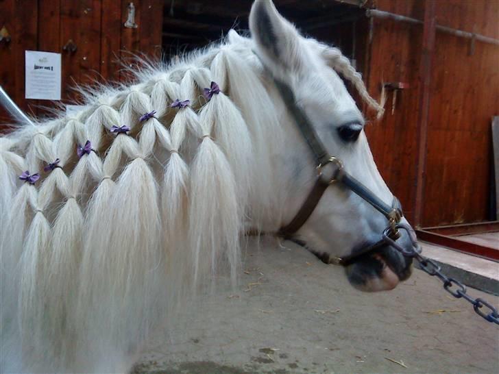 Super sej pony/heste frisure :) billede 5