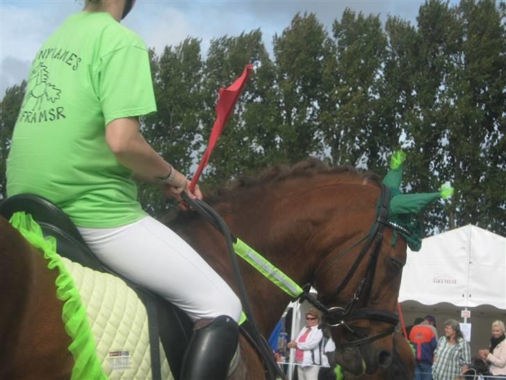 Gørlev Heste-og kræmmermarked :D billede 1