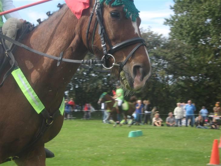 Gørlev Heste-og kræmmermarked :D billede 4