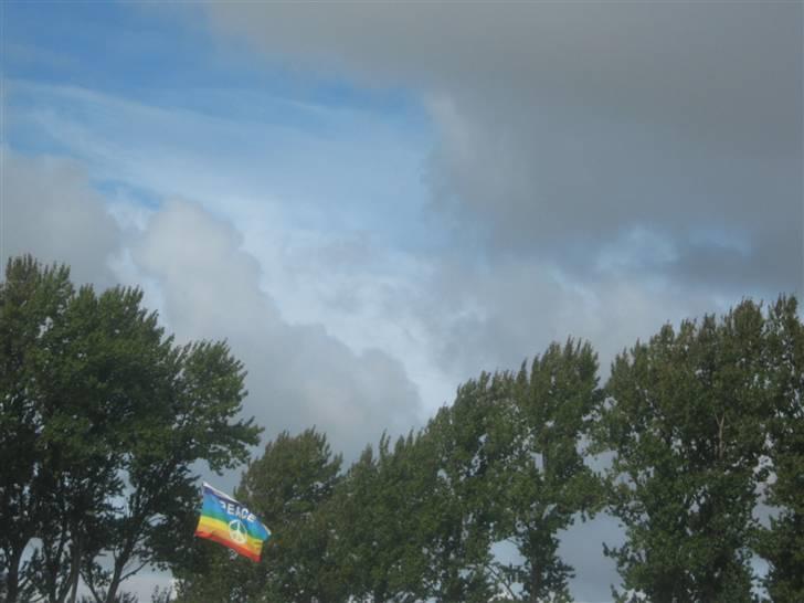 Gørlev Heste-og kræmmermarked :D billede 9