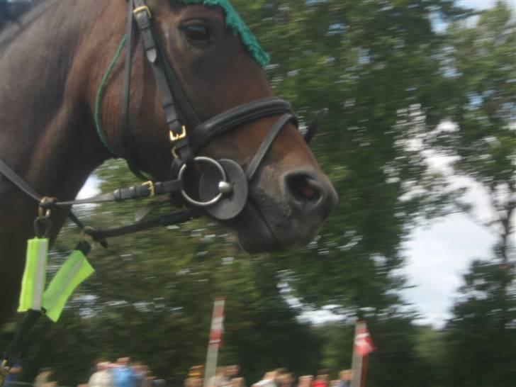 Gørlev Heste-og kræmmermarked :D billede 10