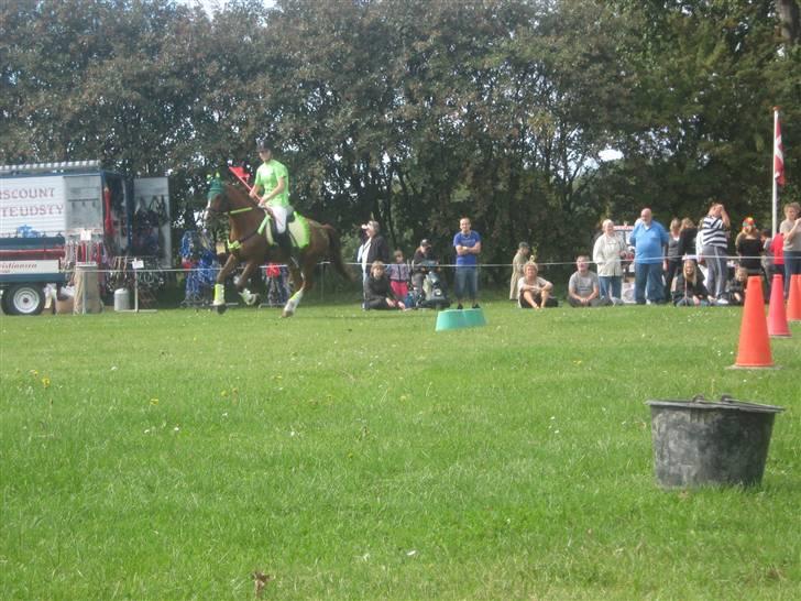 Gørlev Heste-og kræmmermarked :D billede 19