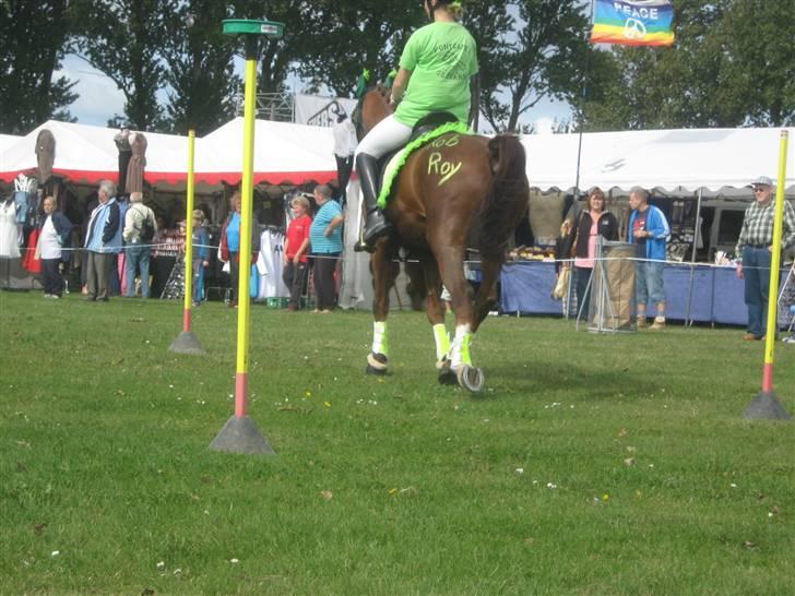 Gørlev Heste-og kræmmermarked :D billede 22