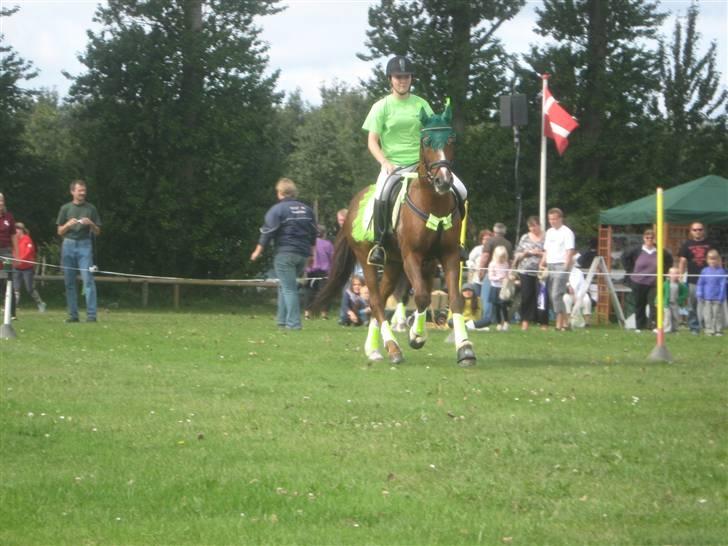 Gørlev Heste-og kræmmermarked :D billede 27