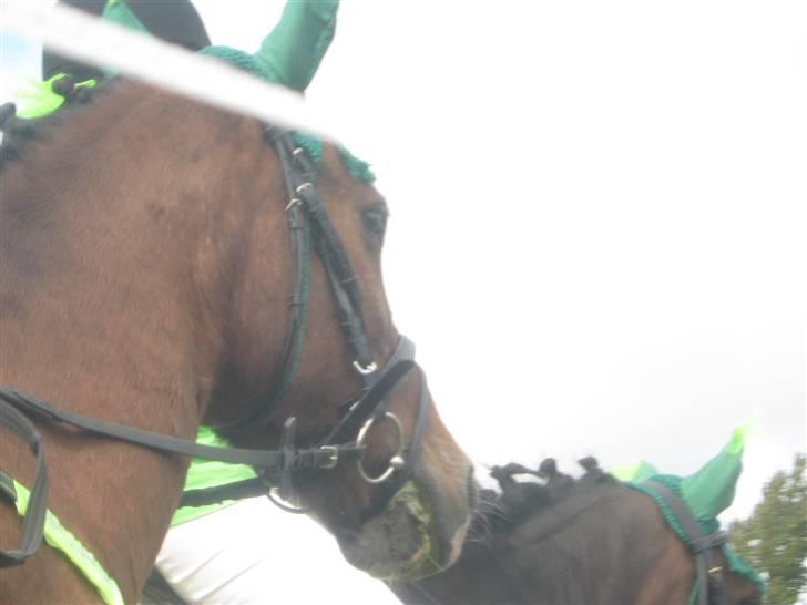 Gørlev Heste-og kræmmermarked :D billede 42