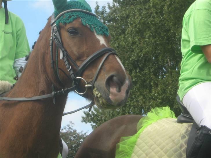 Gørlev Heste-og kræmmermarked :D billede 43