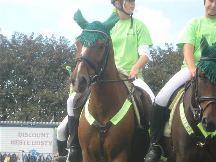 Gørlev Heste-og kræmmermarked :D billede 44