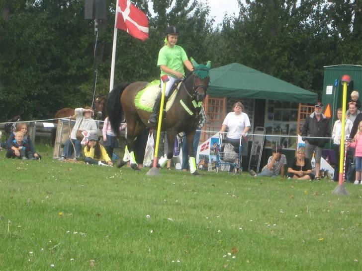 Gørlev Heste-og kræmmermarked :D billede 55