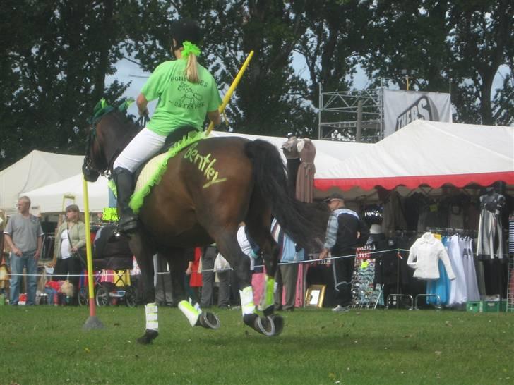 Gørlev Heste-og kræmmermarked :D billede 72