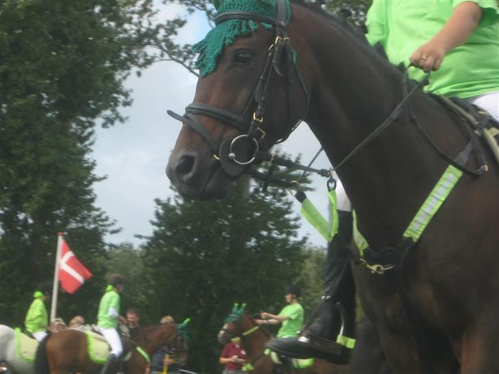 Gørlev Heste-og kræmmermarked :D billede 101