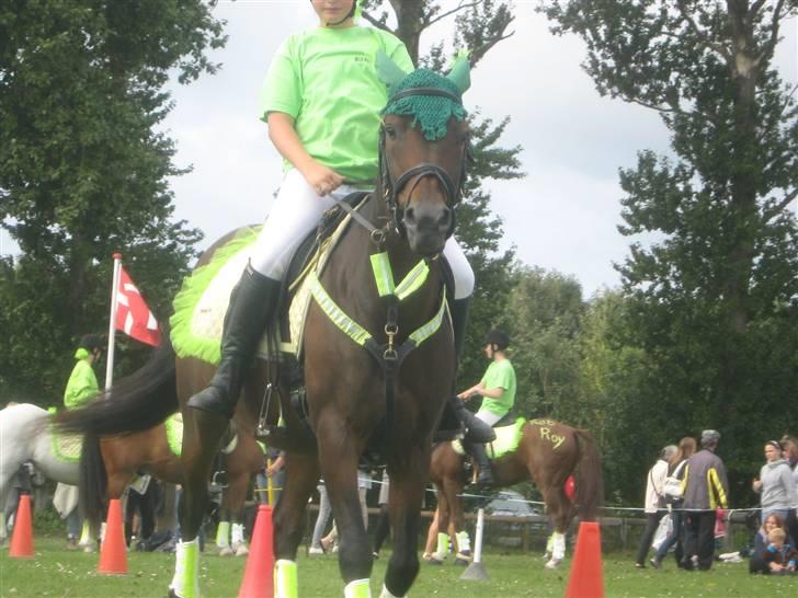 Gørlev Heste-og kræmmermarked :D billede 102