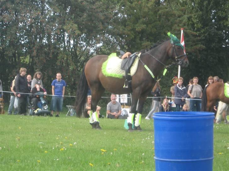 Gørlev Heste-og kræmmermarked :D billede 107