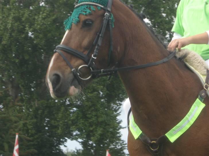 Gørlev Heste-og kræmmermarked :D billede 117