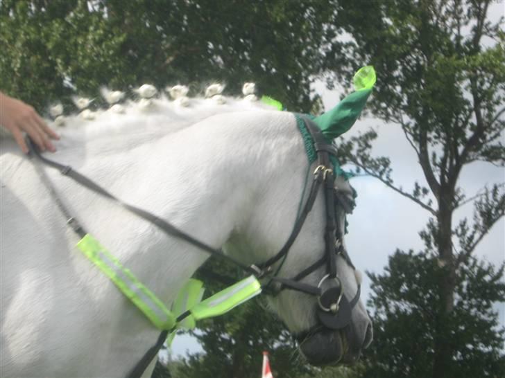 Gørlev Heste-og kræmmermarked :D billede 126