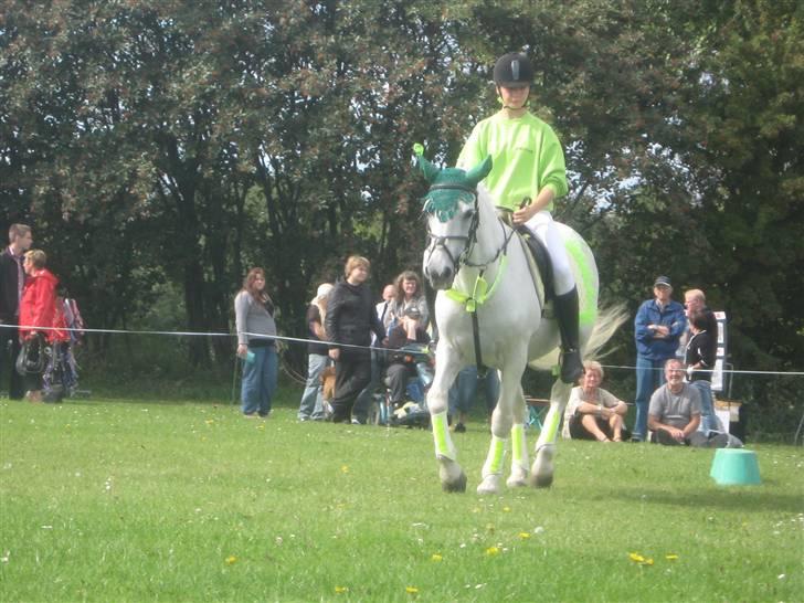 Gørlev Heste-og kræmmermarked :D billede 129