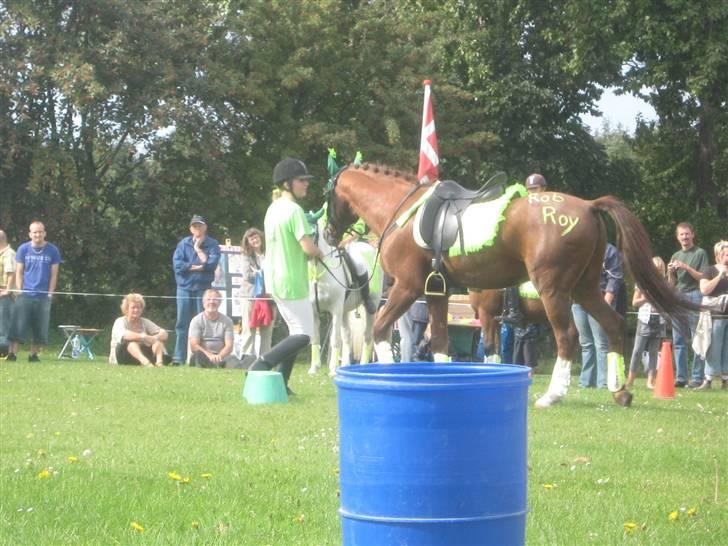 Gørlev Heste-og kræmmermarked :D billede 133
